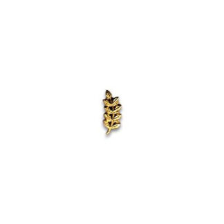 PIN015