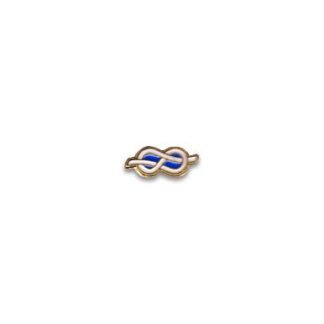 PIN017