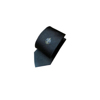 CRA016 LOGO RSAA SOTTONODO