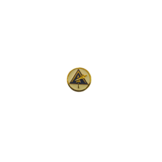 Pin Criptici